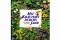 Konvolut „Gewürze und Kräuter“. 8 Titel. 1.) Jan-Öjvind Swahn: Kräuter und Gewürze der Welt, Ihre Geschichte, Herkunft und Verwendung, ORBIS Verlag,...