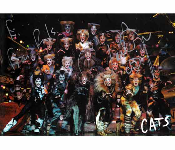 Konvolut „Cats. Inszenierung Musical Theater Stuttgart International“. 3 Titel. 