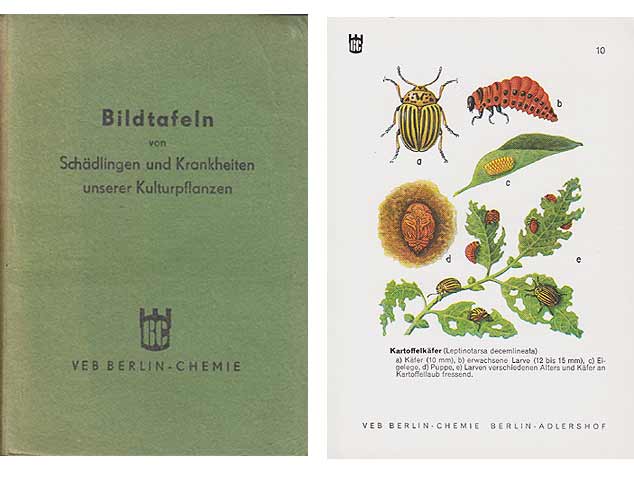 Bildtafeln von Schädlingen und Krankheiten unserer Kulturpflanzen
