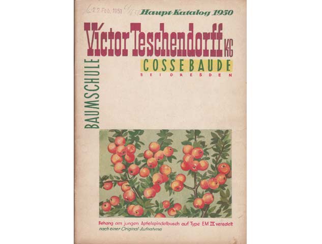 Hauptkatalog 1950. Victor Teschendorff KG Cossebaude bei Dresden. Baumschule