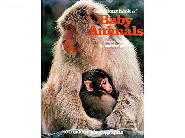 All Colour Book of Baby Animals. 100 Colour Photographs. Text in englischer Sprache. 1. Auflage