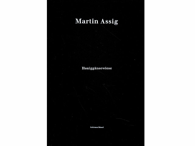 Martin Assig - Honiggänsewiese. Herausgegeben von Martin Köttering. Städtische Galerie Nordhorn. Städtische Galerie Iserloh