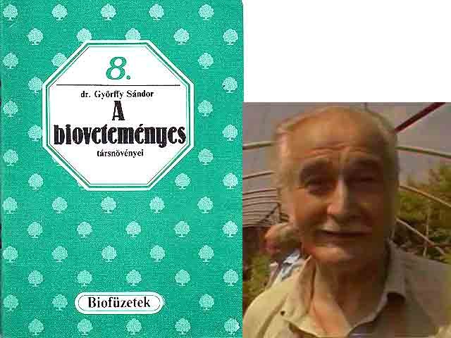 Konvolut „Sándor Péter Györffy“. 3 Titel. 